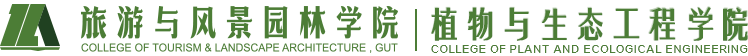 永利官网